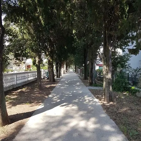 Sena Privlaka (Zadar)